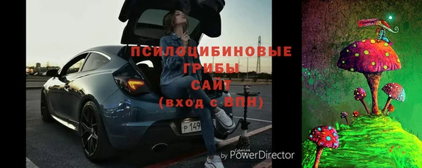 тгк Алзамай